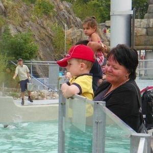 Meet your Posher, Suzanne